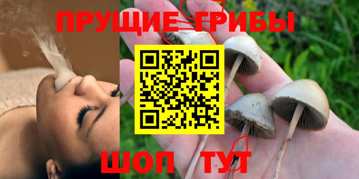 Галлюциногенные грибы Magic Shrooms Благодарный